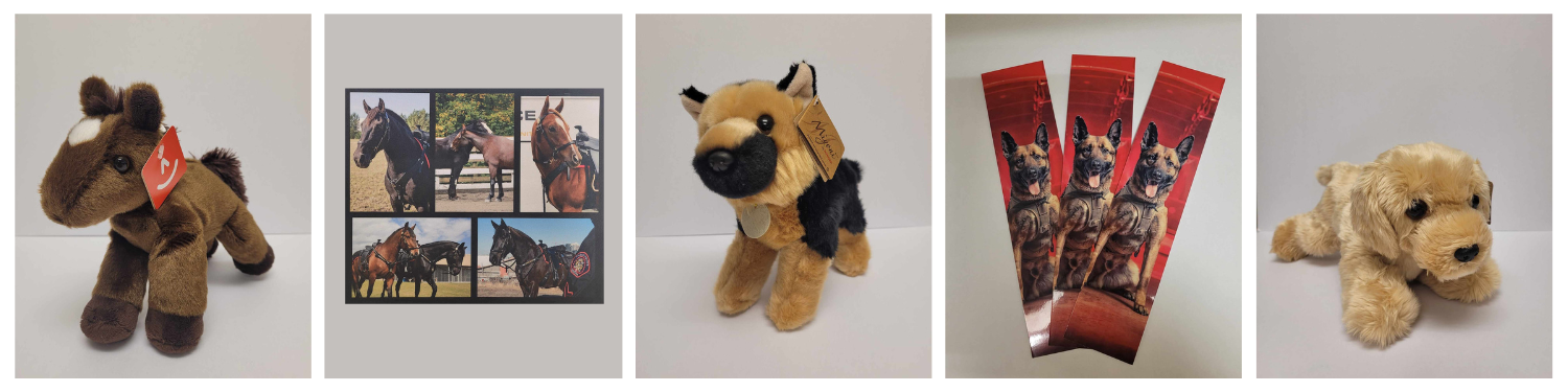 Untitled design - 2023-09-22T161339.416